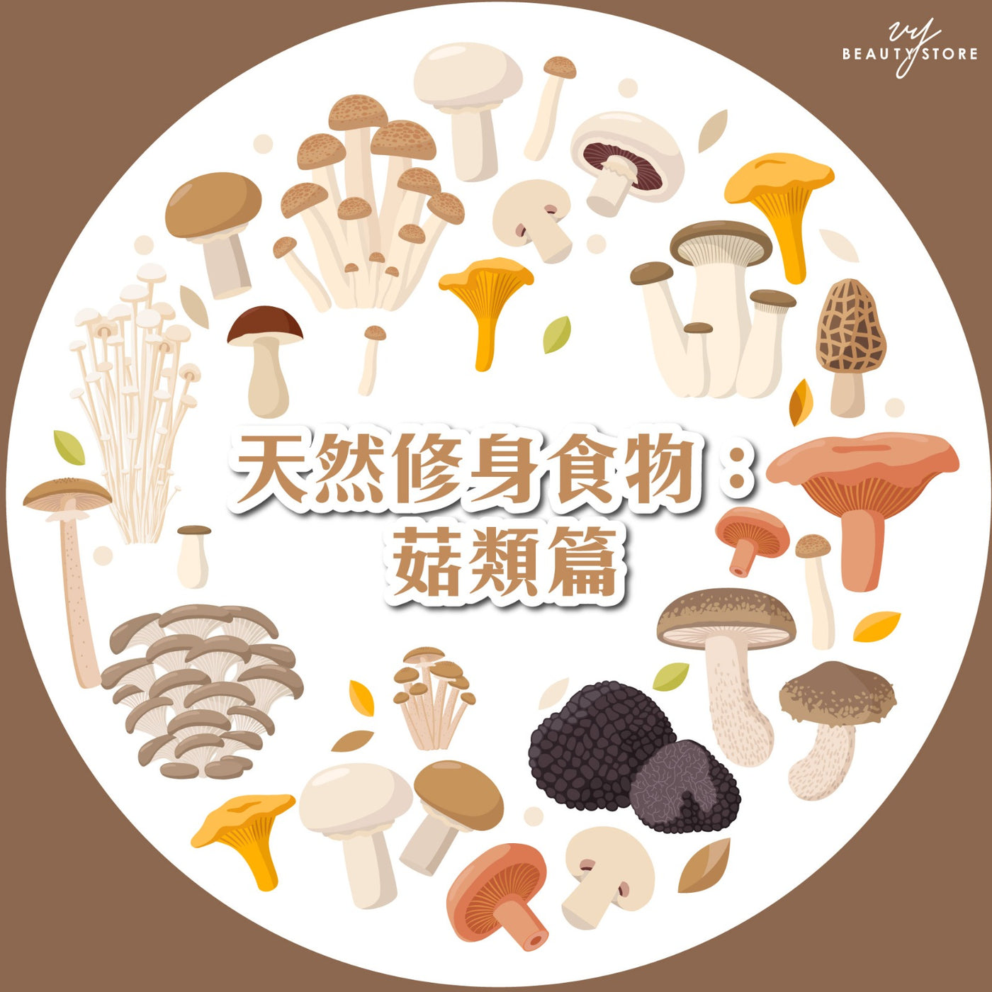 天然修身食物:菇类篇🍄